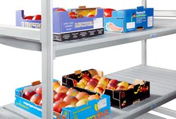 frutta verdura su scaffale alluminio