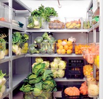 scaffalatura in alluminio per alimenti in cella frigorifera