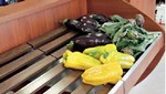 banco vendita frutta e verdura con peperoni