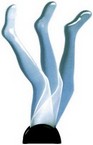 espositore per calze nylon a 3 gambe donna