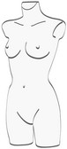 busto donna trasparente