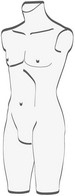 busto uomo trasparente alto