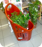 carrello trolley per vivaio iper